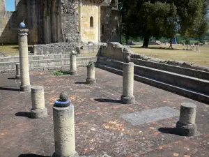 Abbaye de La Sauve-Majeure - Colonnes de la salle capitulaire