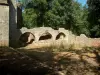 Abbaye du Thoronet - Abbaye cistercienne de style roman provençal : vestiges