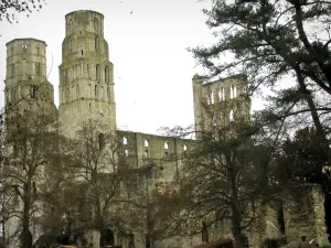 Abbazia di Jumièges - Rovine della Chiesa di Nostra Signora e di alberi, nel Parco Naturale Regionale Loops della Senna Normande