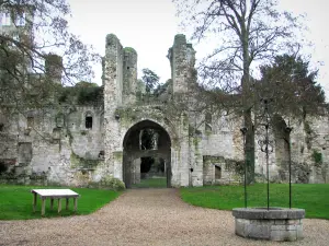 Abbazia di Jumièges - Wells e le rovine dell'antica abbazia, nel Parco Naturale Regionale Loops della Senna Normande