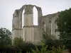 Abbazia di Maillezais - I resti dell'abbazia di Saint-Pierre: le rovine della chiesa abbaziale