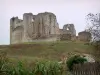 Abbazia di Maillezais - I resti dell'abbazia di Saint-Pierre: le rovine della chiesa abbaziale