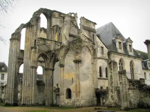 Abbazia di Saint-Wandrille - Ruderi della chiesa abbaziale, nel Parco Naturale Regionale Loops del Normande Senna