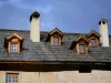 Abdij van Boscodon - Abdij van Onze Lieve Vrouw van Boscodon: dakramen en het dak van de vleugel van de monniken