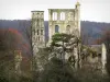 Abdij van Jumièges - Ruïnes van de Kerk van Onze Lieve Vrouw, en bossen bomen op de achtergrond, in het Regionaal Natuurpark lussen van de Seine Normande