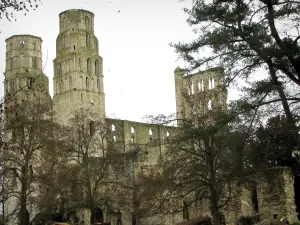 Abdij van Jumièges - Ruïnes van de kerk van Onze-Lieve-Vrouw en bomen, in het Regionaal Natuurpark lussen van de Seine Normande
