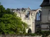 Abdij van Ourscamp - Ruïnes van het gotische koor van de abdijkerk van Notre-Dame Ourscamp