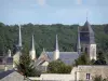 Abtei von Fontevraud - Abteikirche der königlichen Abtei und Wald