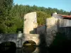 Abtei von Nouaillé-Maupertuis - Brücke, Wassergraben (Fluss Miosson), Türme und Bäume