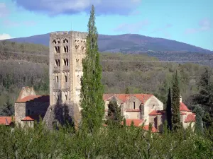 Abtei Saint-Michel de Cuxa - Blick auf die Abtei und ihren romanischen Glockenturm von dem umliegenden Weinbau aus