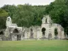 Abtei von Vauclair - Überreste (Ruinen) der ehemaligen Zisterzienserabtei, und Bäume des Waldes von Vauclair; auf der Gemeinde Bouconville-Vauclair
