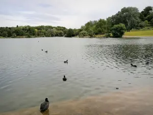 Abteilungspark Georges-Valbon - Parksee La Courneuve