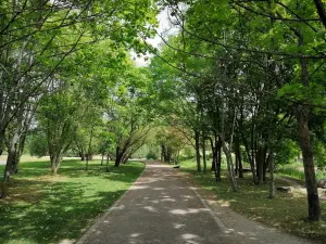 Abteilungspark Georges-Valbon - Von Bäumen gesäumter Weg