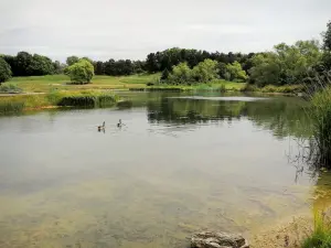 Abteilungspark Georges-Valbon - Gewässer in grüner Umgebung