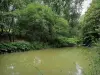 Abteilungspark Morbras - Bäume am Wasser