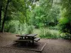 Abteilungspark Morbras - Picknicktisch am Rand des Wassers, in einer grünen Umgebung