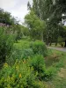 Abteilungspark Morbras - Bäume und Blumenbeete im Park