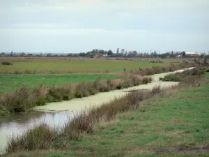 Acquitrini bretoni della Vandea - Piccolo canale delimitato da campi (pascoli)