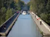 Agen - Puente-canal de arbolado