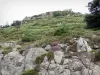 Aigoual massif - Rocks and vegetation; in the Cévennes National Park (Cévennes massif)