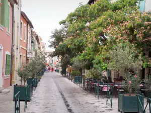 Aigues-Mortes - Alberi lungo le strade, ristoranti terrazza e facciate delle case, pareti interne