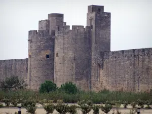 Aigues-Mortes - Queen's gate (Porte de la Reine) and ramparts of the fortified town