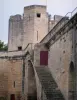 Aigues-Mortes - Vestingwerken van de stad