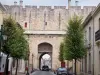 Aigues-Mortes - Porte de Saint-Antoine gate, trees and facades of houses
