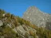 Aiguilles Rouges - Col des Montets, la vista de los árboles y las rocas (acantilados) de Aiguilles Rouges masiva (Aiguilles Rouges Reserva Natural)