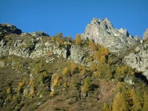 Aiguilles Rouges - Vom Bergpass Montets aus, Blick auf die Bäume mit Farben des Herbstes und die Felsen des Massivs der Aiguilles Rouges (Naturschutzgebiet der Aiguilles Rouges)