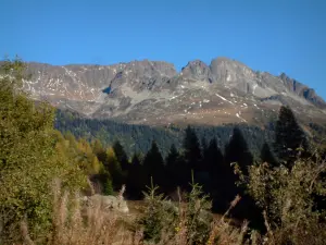 Aiguilles Rouges - Sträucher, Bäume, Wälder und Massiv der Aiguilles Rouges (Naturschutzgebiet der Aiguilles Rouges)