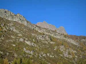 Aiguilles Rouges - Bäume und Felsen des Massivs der Aiguilles Rouges (Naturschutzgebiet der Aiguilles Rouges)