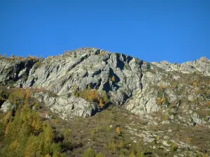 Aiguilles Rouges - Bäume und Felsen des Massivs der Aiguilles Rouges (Naturschutzgebiet der Aiguilles Rouges)