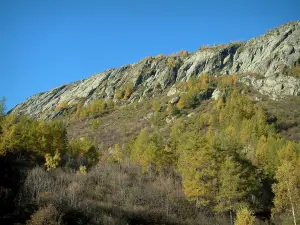 Aiguilles Rouges - Bäume und Felsen des Massivs der Aiguilles Rouges (Naturschutzgebiet der Aiguilles Rouges)