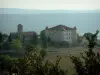 Aiguines - I rami degli alberi in primo piano con vista sul turrito castello e la chiesa del villaggio (Verdon Parco Naturale Regionale)