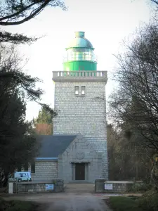 Ailly lighthouse - Lighthouse and trees