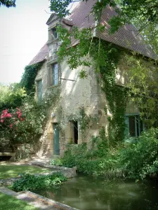 Ainay-le-Vieil castle - Detached house with plants, bamboo and canal