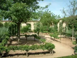 Ainay-le-Vieil castle - Montreuils chartreuses: garden (orchard) with fruit trees