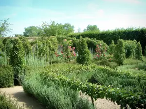 Ainay-le-Vieil castle - Montreuils chartreuses: garden (orchard) with fruit trees, lavender, rosebushes and plants