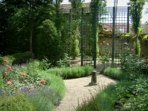 Ainay-le-Vieil castle - Garden: rosebushes, lavender, plants and fences