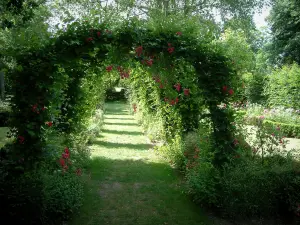 Ainay-le-Vieil castle - Path in the rose garden