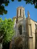Aix-en-Provence - Catedral Saint-Sauveur com uma árvore de avião