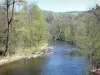 Alagnon gorges - Alagnon river lined with trees