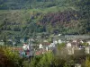 Albertville - From the medieval town of Conflans, view of trees, the forest, the church, the buildings and the houses of the Olympic Games city