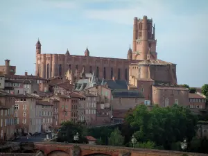 Albi - Sainte-Cécile cathedral (brick-built building of southern gothic style), the Berbie palace, houses of the old town and the Pont-Vieux bridge