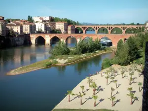 Albi - Beach decorated with palm trees, trees, the River Tarn, the Pont-Vieux bridge, the August 22nd, 1944 bridge and buildings of the city