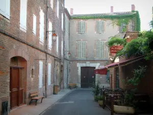 Albi - Brick-built houses among which the birth house of Toulouse-Lautrec (Bosc mansion)