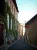 Albi - Rue Toulouse-Lautrec met woningen en thuis Laperouse