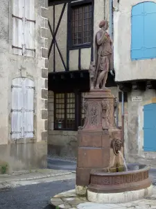 Alet-les-Bains - Fountain and houses of the medieval town