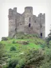 Alleuze castle - Ruins of the feudal castle